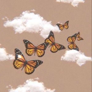 Meet your Posher, Jayla